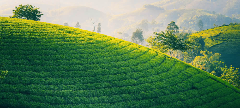 Cẩm nang du lịch Ninh Bình