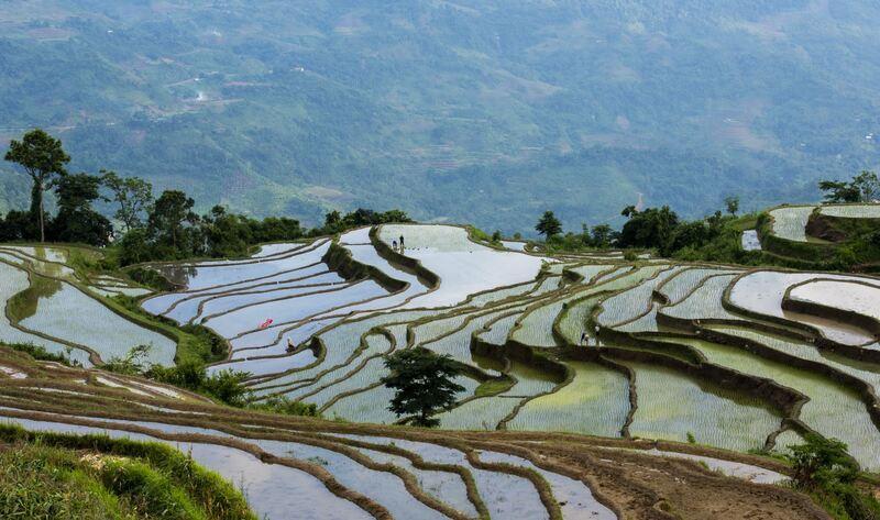 Ruộng bậc thang Hồng Thái là một khung cảnh tuyệt sắc hiếm có tại Tuyên Quang