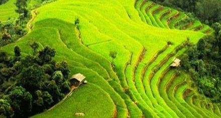 Mẹo và tips du lịch Hà Giang cho người đi lần đầu
