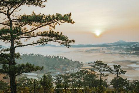 Back to the Roots: A Cultural Journey Across Vietnam